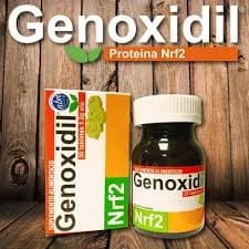 ¿QUÉ ES GENOXIDIL?